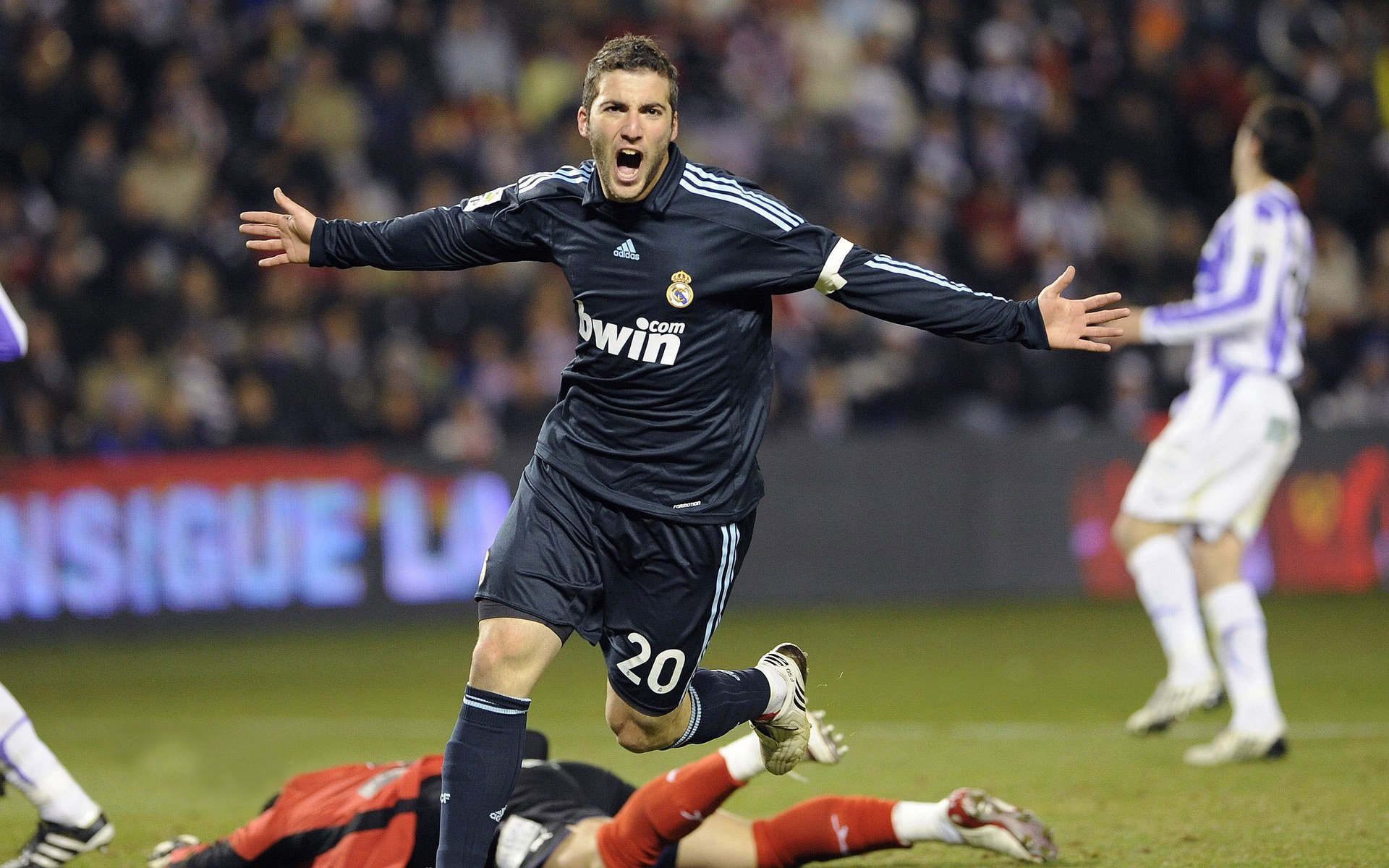 “狗主人遛狗规范挑战赛”：消灭牵引绳之外的危险动作